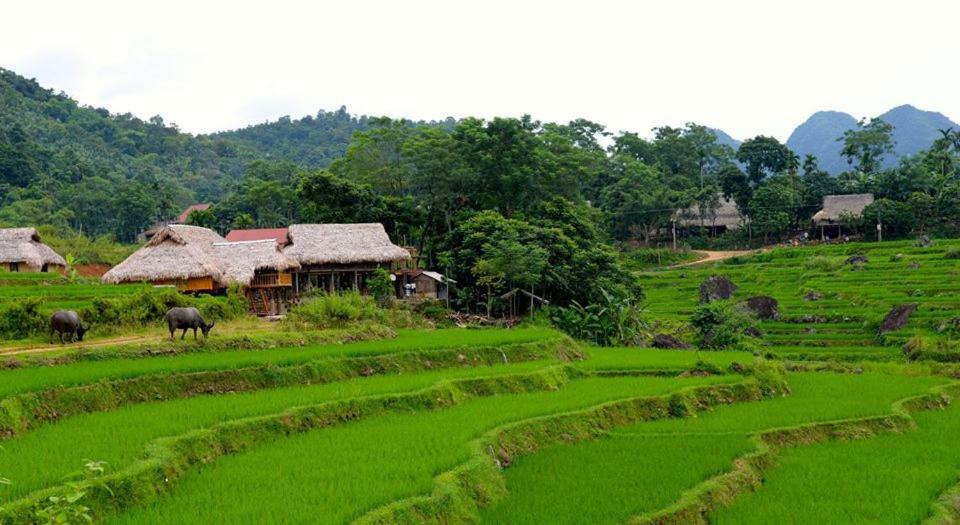 Puluong Valley Home Thanh Hoa ภายนอก รูปภาพ